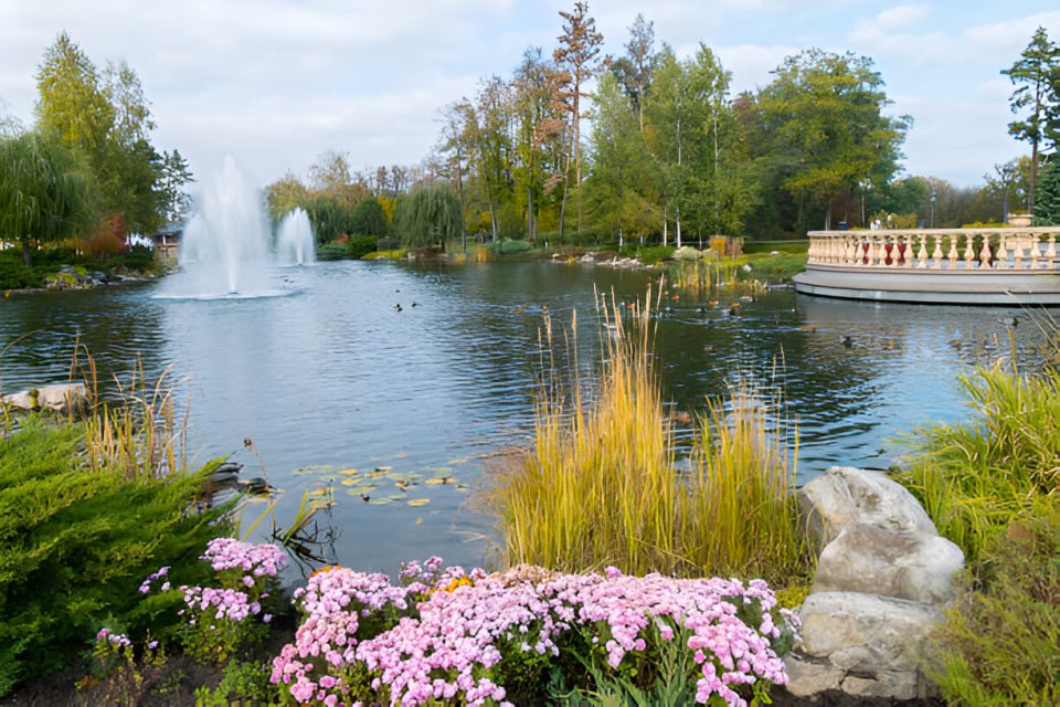 Pond Water Clarity